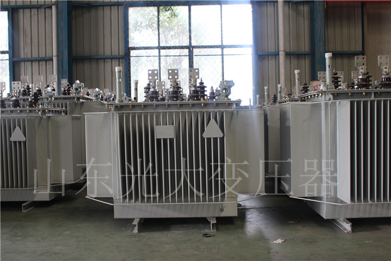 舟山S20-500KVA/10KV